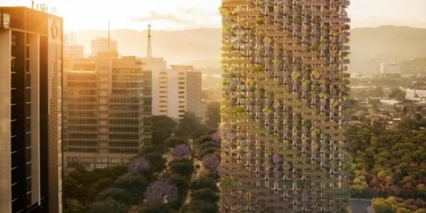 這才叫綠色建筑！用木頭代替鋼筋水泥，30000多植物栽在陽(yáng)臺(tái)！
